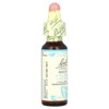 Bach Original Flower Remedies, Beech, 0.35 fl oz (10 ml) - 4 of 4