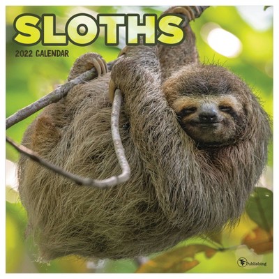 2022 Wall Calendar Sloths - The Time Factory