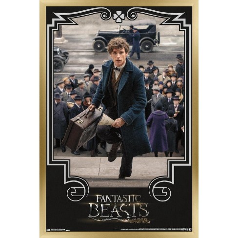 newt fantastic beasts and where to find them