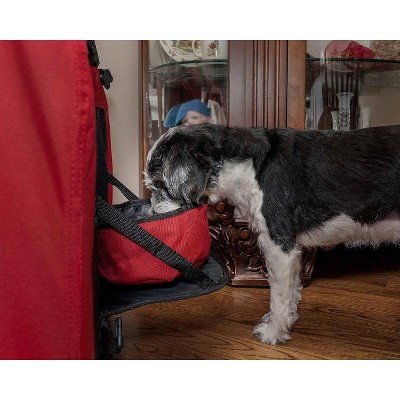 Extra Small Red Soft Sided Pet Carrier with Mesh Windows