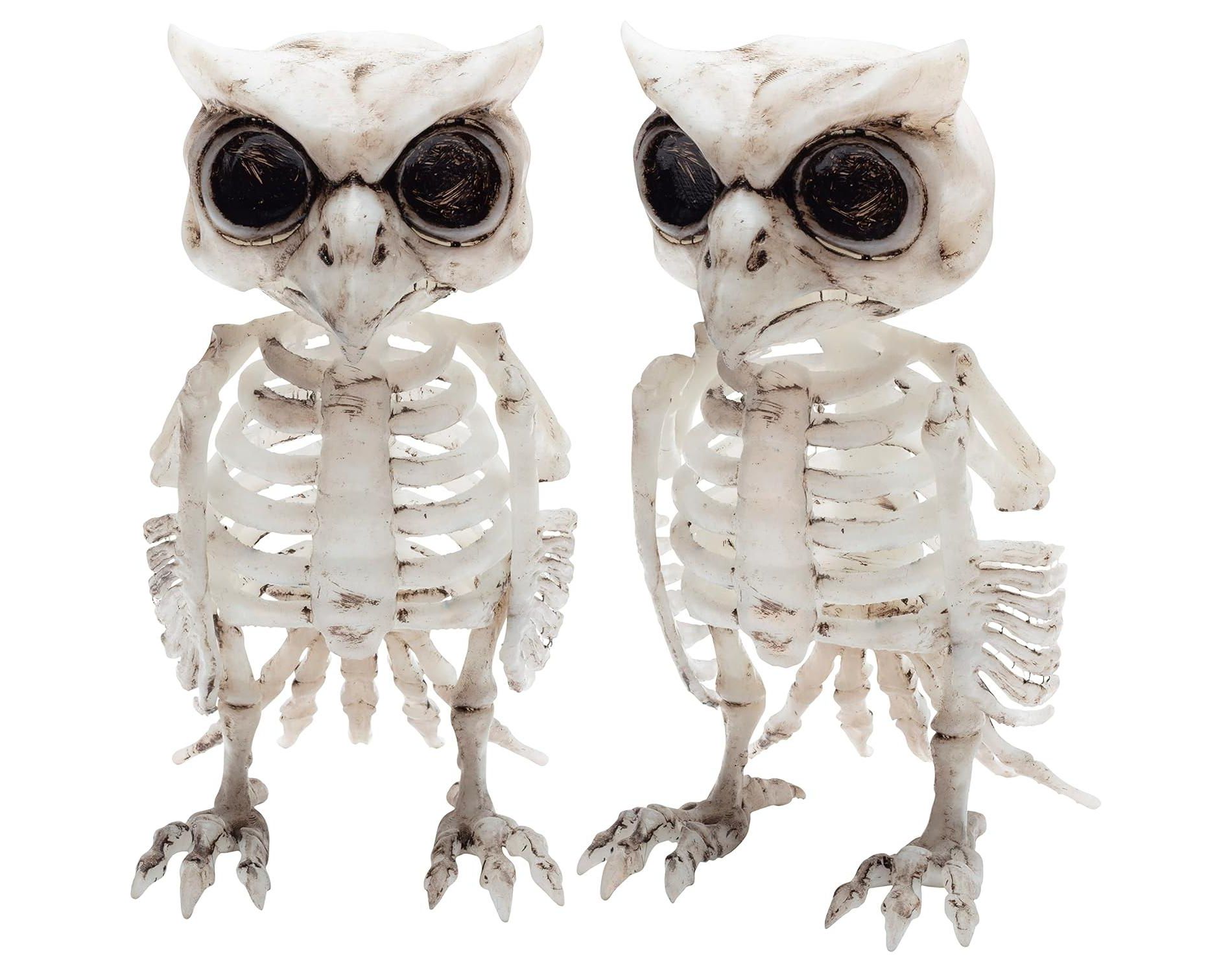 Owl Skeleton Halloween Decoration (2 Pack) - 6.5" Long - Indoor/Outdoor - Upgrade Your Fall Graveyard Haunted House Party Props, Trick-or-Treat Decor