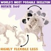 Joyfy 2 PCS 16" Halloween Poseable Animal Puppy Skeleton Decor, Dog Plastic Bones with Posable Joints for Graveyard Party Prop Decor - 3 of 4