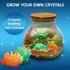 Joyfy DIY Unicorn/Dinosaur Crystal Terrarium Kit - Grow Your Own Crystals with 12-Color LED Night Light, STEM Science Gift for Kids Age 8+ - 3 of 4