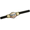 WWE Championship Toy Wrestling Belt United States Action Figure - 3 of 3