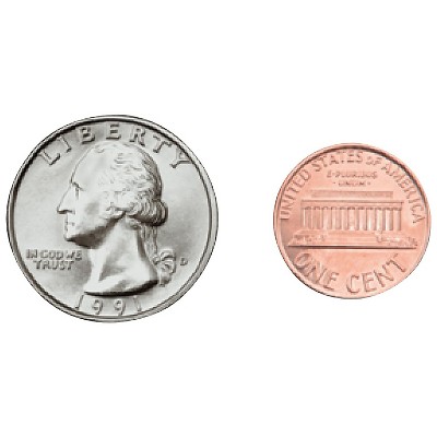CARSON-DELLOSA Money U.S. Coins Shape Stickers 5261