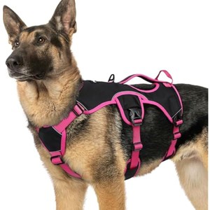 rabbitgoo Escape Proof Dog Harness Large Dogs, Soft Padded  Clip for Walking Hiking Training, Pink & Black, XL - 1 of 1