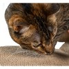 Catstages Scratch N' Rest Cat Agility Toy - Navy Blue - 2 of 4