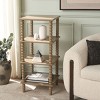 Dilyn 4 Tier Shelving Unit - ETG5702C - Desert Brown - Safavieh - 2 of 4