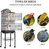 QuestaPack 62 inch Metal Bird Cage, Large Parakeet Cages for Parrot, Cockatiel, Lovebird - 4 of 4