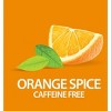 21st Century, Herbal Slimming Tea, Orange Spice, Caffeine Free, 24 Tea Bags, 1.7 oz (48 g) - 3 of 4