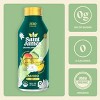 Saint James White Lotus Organic Black Tea - 16 fl oz - 3 of 4