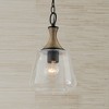 Capital Lighting Amara 1 - Light Pendant in  Matte Black/Brass - 2 of 3