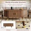 Whisen Wooden TV Stand with Sliding Tambour Door & Golden Handle, Oval Fluted Design, Charging Station for TV up to 80" - 4 of 4