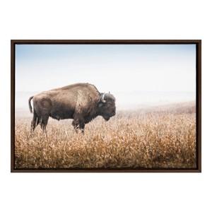 Kate & Laurel All Things Decor Sylvie American Bison Buffalo in Prairie Grass Framed Canvas Wall Art Brown - 1 of 4