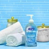 Softsoap Antibacterial Liquid Hand Soap Pump - Clean & Protect - Cool Splash - 11.25 fl oz - image 3 of 4