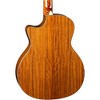 Luna Vista Bear Tropical Wood Acoustic-Electric Bass Gloss Natural - 2 of 4