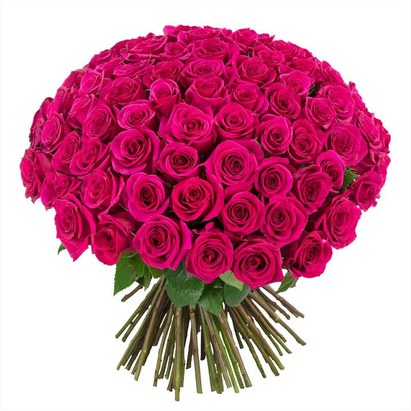 Fresh Cut 100-stem Hot Pink Rose Bouquet, 4 of 7