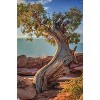 Trends International Beth Sheridan - Dead Horse Point Unframed Wall Poster Prints - 4 of 4