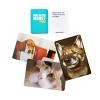 What Do You Meme? Family Pets Only Edition Card Game - 4 of 4