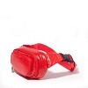 baggallini On the Go Belt Bag Waist Pack - 2 of 4