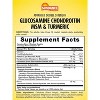 Sundance Vitamins Advanced DS Glucosamine Chondroitin + MSM Caplet , 60 Ct - 2 of 4