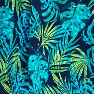 vibrant palm