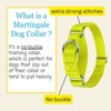 Country Brook Petz Martingale Heavyduty Training Collar with No Buckle - Service Collar for All Dogs - Vibrant, Colorful Collection - 3 of 4