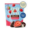 Tru Fru Frozen Fresh Strawberries in Dark and White Chocolate - 18oz - 2 of 2