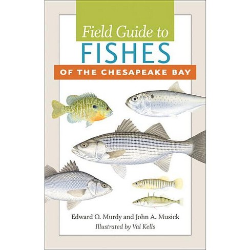 Ken Schultz's Field Guide To Freshwater Fish - : Target
