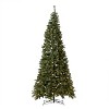 Nearly Natural 11-ft White Mountain Pine Artificial Christmas Tree with 1050 Clear LED Lights, Pine Cones and 2395 Bendable Branches - 2 of 4
