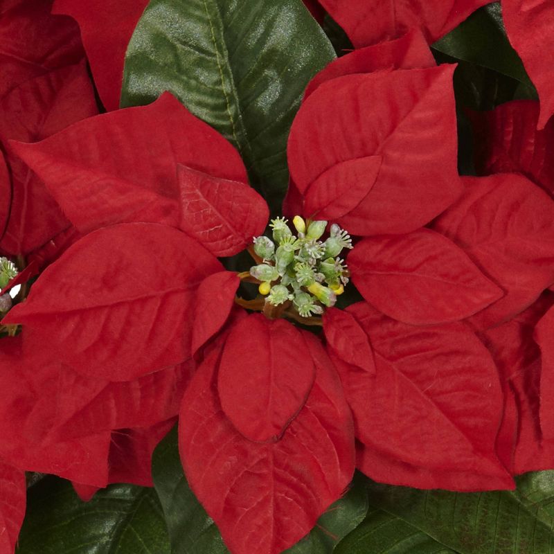 Poinsettia with White Wash Planter Silk Arrangement - Nearly Natural, 3 of 5