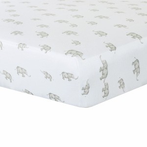 Cotton Jersey Fitted Sheet - Sophia Garden - 1 of 1
