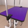 Whisen 42.5" Z-Lift Pet Grooming Table with Arm and A Noose - 2 of 4