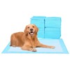 40 Pcs 30" x 36" Premium Disposable Training Pads, Pee Pads, Training Pads, Disposable Puppy Pee Pads, Quick Absorb and Odor Contro - 2 of 3
