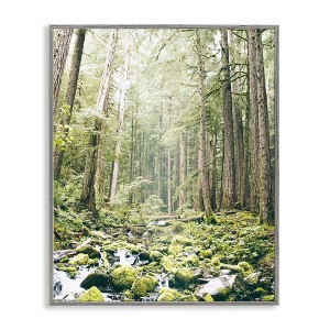 Stupell Industries Verdant Forest Glow Wilderness Framed Giclee Art - 1 of 4