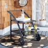Lodi Outdoor Tea Cart  - Safavieh - 2 of 4