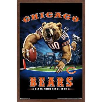 Trends International NFL Chicago Bears - End Zone 17 Framed Wall Poster Prints