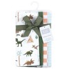 Hudson Baby Boys Cotton Flannel Burp Cloths 4-Pack, Retro Dinosaur, One Size - 2 of 4