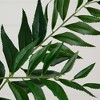 Nearly Natural 38-in Artificial Palmate Fern Stems, Set of 3 - 3 of 3