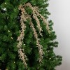 Northlight 24" Golden Glittered Pine Christmas Spray - image 3 of 4