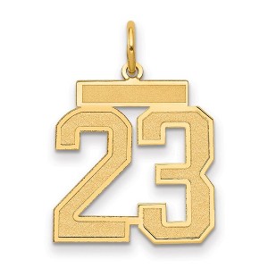 Black Bow Jewelry 14k Yellow Gold, Jersey Collection, Medium Number 23 Pendant - 1 of 3