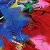 Charles Leonard Turkey Feathers, Bright Colors, 14 Grams Per Pack, 12 Packs - 3 of 3
