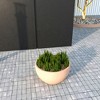 LeisureMod Grove Fiberstone Round Planter with Drainage Holes, Indoor/Outdoor, Weather-Resistant - 2 of 4