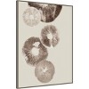 32" x 42" Mushroom 6 by Pernille Folcarelli: Abstract Botanical Canvas - Amanti Art - 2 of 4