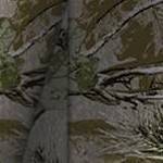 woods camo