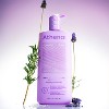 Athena Club Skin Replenishing Body Wash - Lavender Latte -18 fl oz - 2 of 4