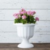 Novelty Classic Plastic Urn Planter - 2 of 4