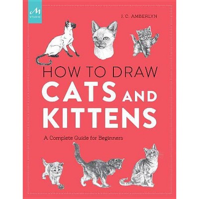 How to Draw Cats and Kittens - by  J C Amberlyn (Paperback)