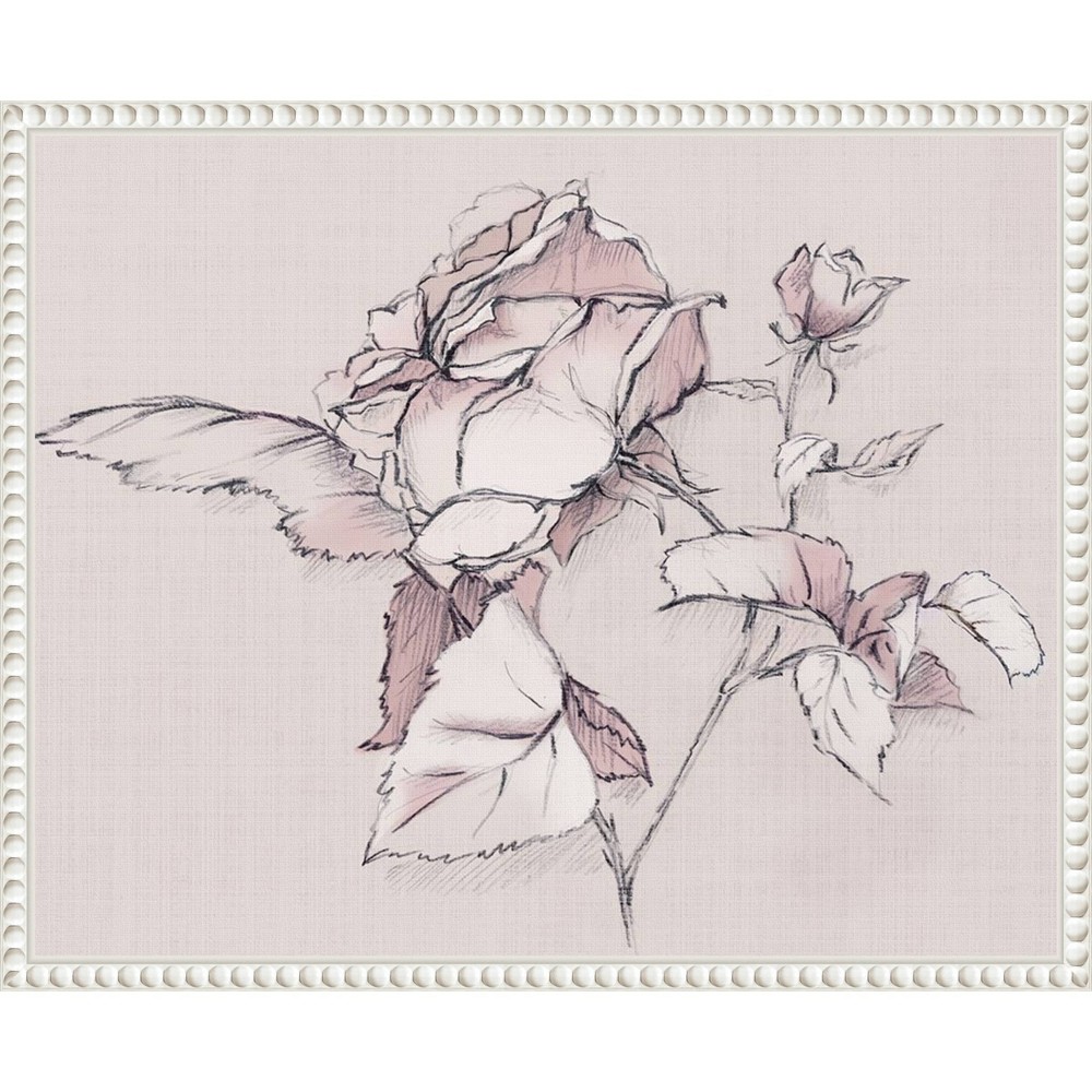 Amanti Art 20x16 Blush Floral Flourish by Alex Black Framed Canvas Wall Art Print