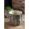 Slickblue Tree Trunk Planter, Cement Faux Bois Round Concrete Pot, Bark Detailing, Indoor Use, 6.75" Dia - 2 of 3